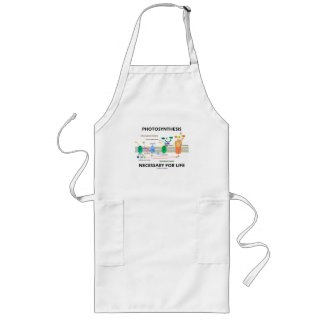 Photosynthesis Necessary For Life apron
