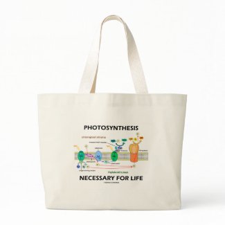 Photosynthesis Necessary For Life bag