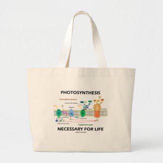 Photosynthesis Necessary For Life Bag
