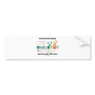 Photosynthesis Necessary For Life bumpersticker