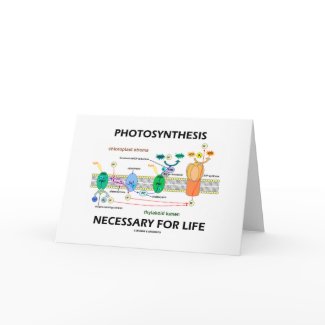Photosynthesis Necessary For Life card