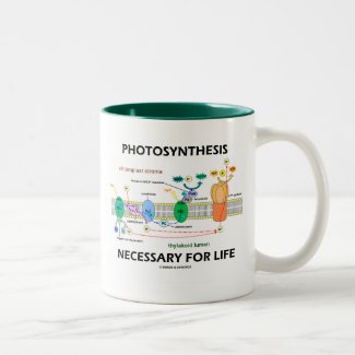 Photosynthesis Necessary For Life Coffee Mug