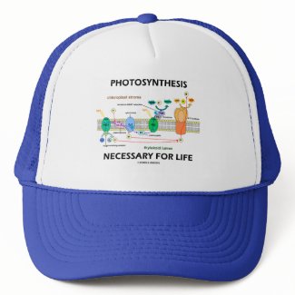 Photosynthesis Necessary For Life hat