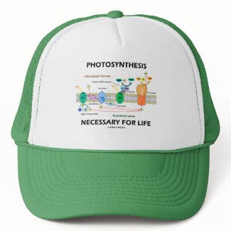 Photosynthesis Necessary For Life hat
