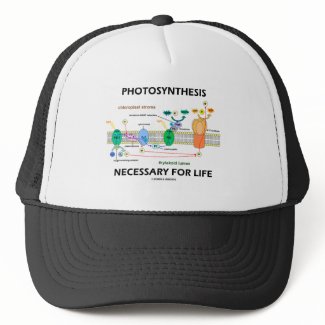 Photosynthesis Necessary For Life hat