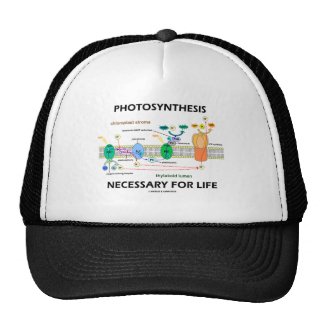 Photosynthesis Necessary For Life Hat