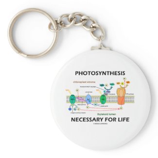 Photosynthesis Necessary For Life keychain