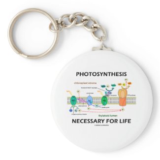 Photosynthesis Necessary For Life Keychain