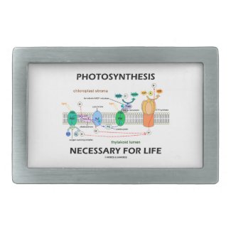 Photosynthesis Necessary For Life Light-Dependent Rectangular Belt Buckles