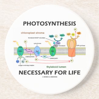 Photosynthesis Necessary For Life Light-Dependent Drink Coaster