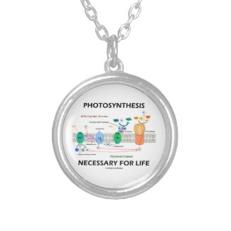 Photosynthesis Necessary For Life Light-Dependent Pendant