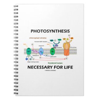 Photosynthesis Necessary For Life Light-Dependent Note Books