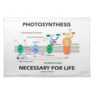Photosynthesis Necessary For Life Light-Dependent Place Mats