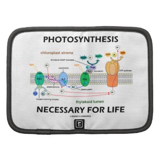 Photosynthesis Necessary For Life Light-Dependent Folio Planners
