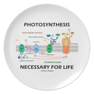 Photosynthesis Necessary For Life Light-Dependent Party Plate