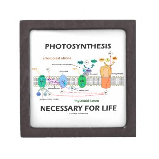 Photosynthesis Necessary For Life Light-Dependent Premium Gift Boxes