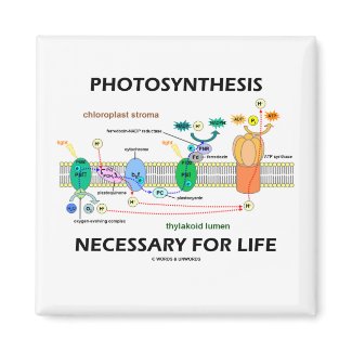 Photosynthesis Necessary For Life magnet