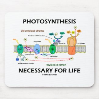 Photosynthesis Necessary For Life mousepad