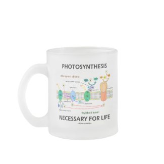 Photosynthesis Necessary For Life mug