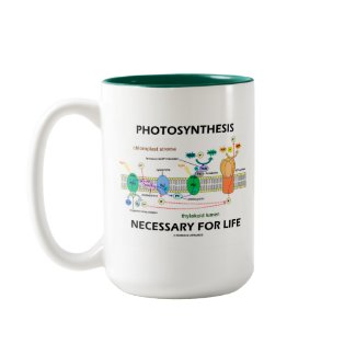 Photosynthesis Necessary For Life mug