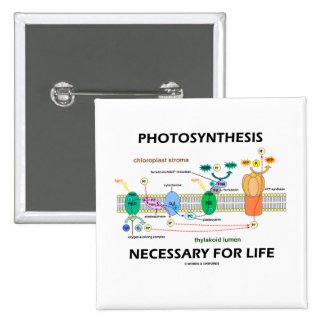 Photosynthesis Necessary For Life Pinback Button