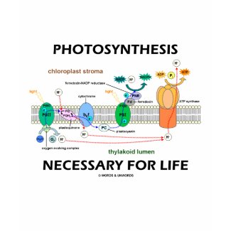 Photosynthesis Necessary For Life shirt