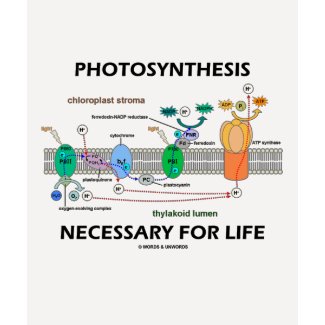 Photosynthesis Necessary For Life shirt