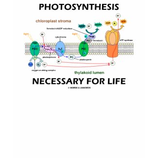 Photosynthesis Necessary For Life shirt