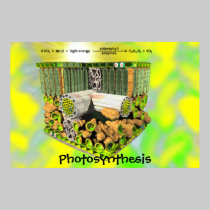 Photosynthesis poster posters