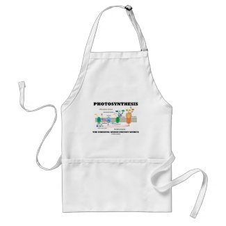 Photosynthesis The Original Green Energy Source apron