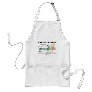 Photosynthesis The Original Green Energy Source Aprons