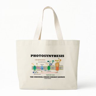 Photosynthesis The Original Green Energy Source bag