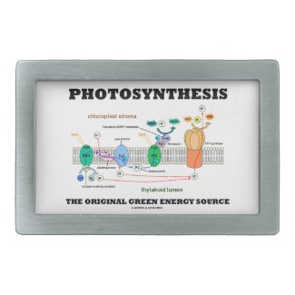 Photosynthesis The Original Green Energy Source Rectangular Belt Buckles