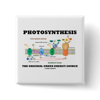 Photosynthesis The Original Green Energy Source button
