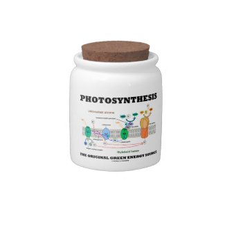 Photosynthesis The Original Green Energy Source Candy Jar