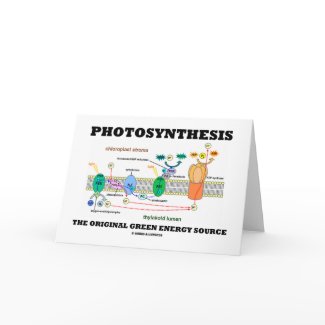 Photosynthesis The Original Green Energy Source card