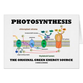 Photosynthesis The Original Green Energy Source Greeting Card