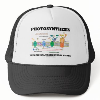 Photosynthesis The Original Green Energy Source hat