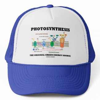 Photosynthesis The Original Green Energy Source hat