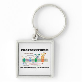 Photosynthesis The Original Green Energy Source keychain
