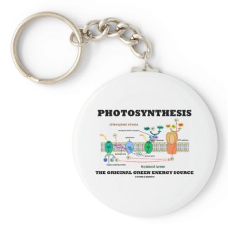 Photosynthesis The Original Green Energy Source Key Chains
