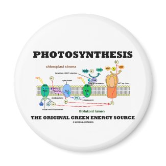 Photosynthesis The Original Green Energy Source magnet