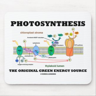 Photosynthesis The Original Green Energy Source Mouse Pad