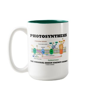 Photosynthesis The Original Green Energy Source mug