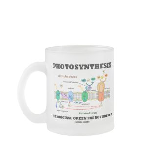 Photosynthesis The Original Green Energy Source mug
