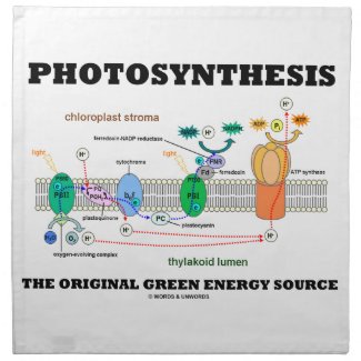 Photosynthesis The Original Green Energy Source Cloth Napkins