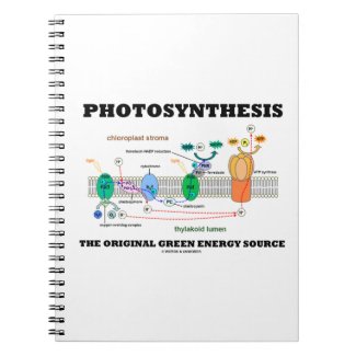 Photosynthesis The Original Green Energy Source Note Book