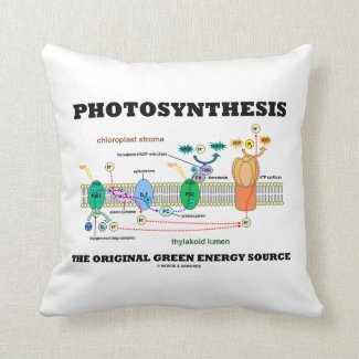 Photosynthesis The Original Green Energy Source Pillows