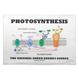 Photosynthesis The Original Green Energy Source Place Mat