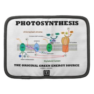 Photosynthesis The Original Green Energy Source Planner